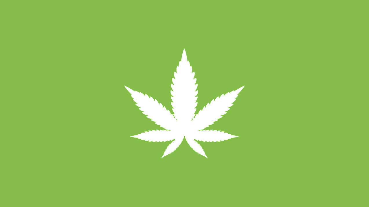 网红商城